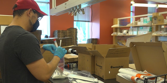 The CDC has paid for the University of Arizona to study the virus and vaccine's impacts on high-risk groups like first responders and front-line workers through the AZ Heroes program. Students are packing up boxes with nasal swabs, test tubes, and return envelopes for the program's participants (Stephanie Bennett/Fox News).
