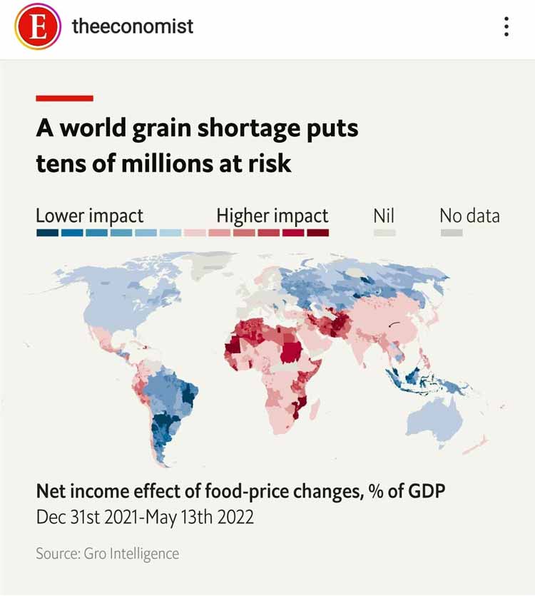 world grain shortage